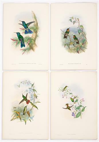 (BIRDS.) John Gould. Selection of 45 hand-colored lithographed plates from Gould's Hummingbirds and Birds of New Guinea.